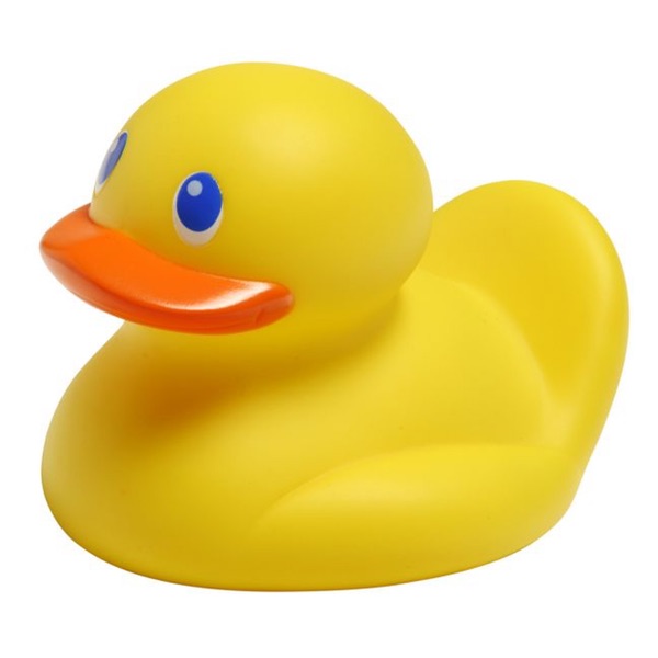 Safety 1st Tempguard Duck