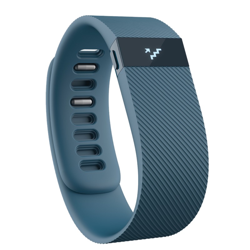 FitBit Charge - Small Online Price in UAE