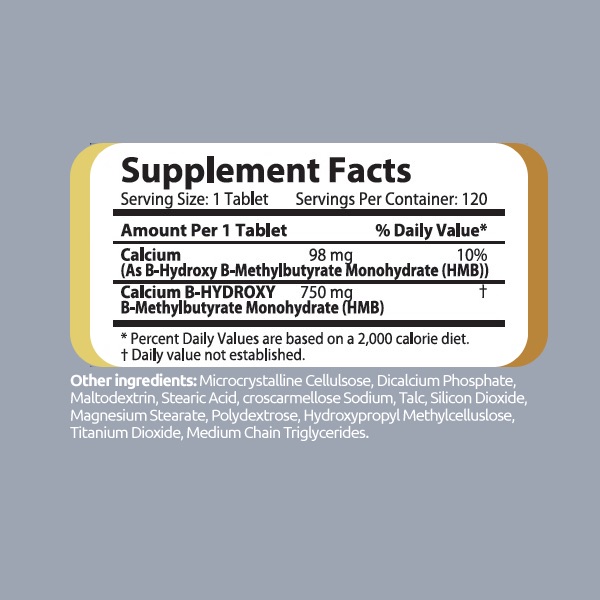 Challenger Recovery HMB