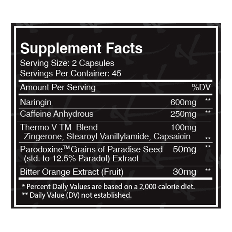 Dynamik EvisCreate 90 Caps Best Price in UAE