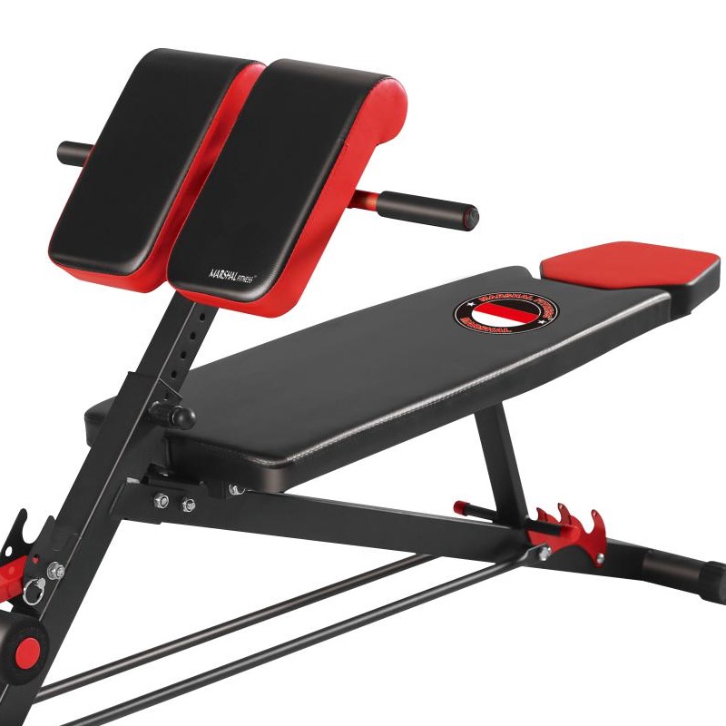 Marshal MultiUse Dumbbell Bench