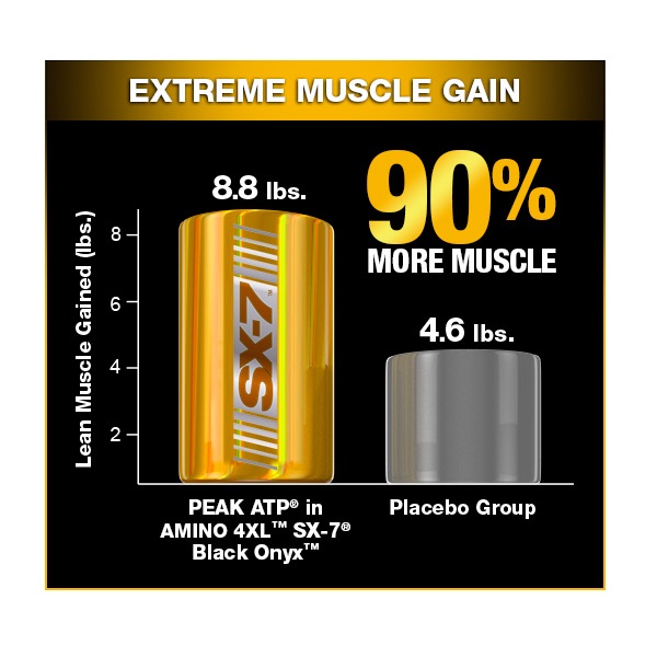 Muscletech Black Onyx Amino 4XL