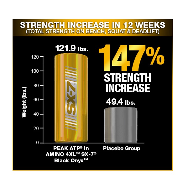 Muscletech Black Onyx Amino 4XL