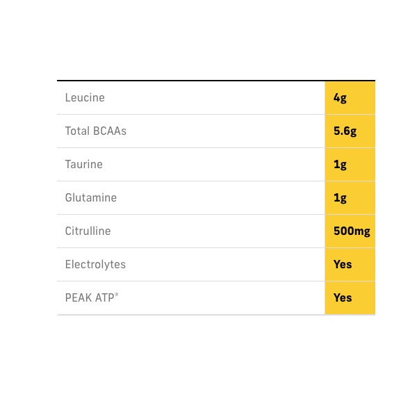 Muscletech Black Onyx Amino 4XL