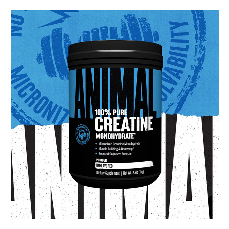 Animal 100 Pure Creatine Monohydrate Powder 300 G Best Price in Dubai