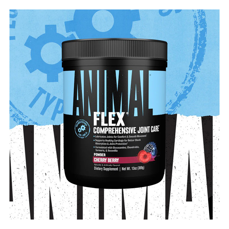Animal Flex Comprehensive Joint Care Powder 369 G - Cherry Berry Best Price in Dubai