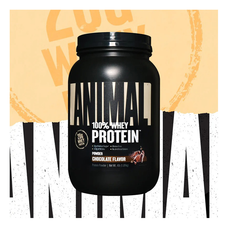 Animal Pak Animal 100 Whey Protein 4 lbs - Chocolate Best Price in Dubai