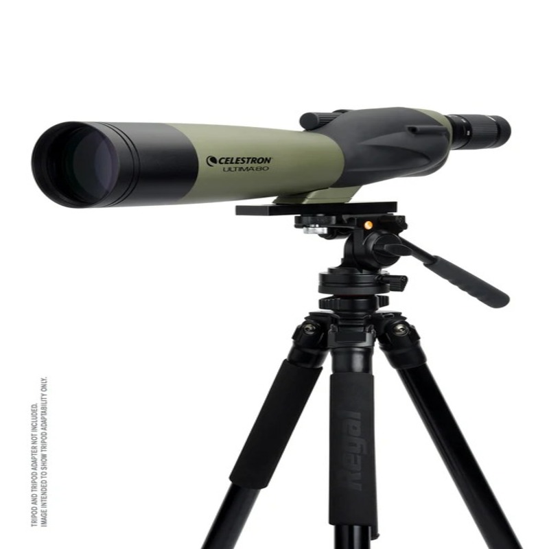 Celestron Ultima 20-60x80mm Straight Zoom Spotting Scope  Best Price in Dubai