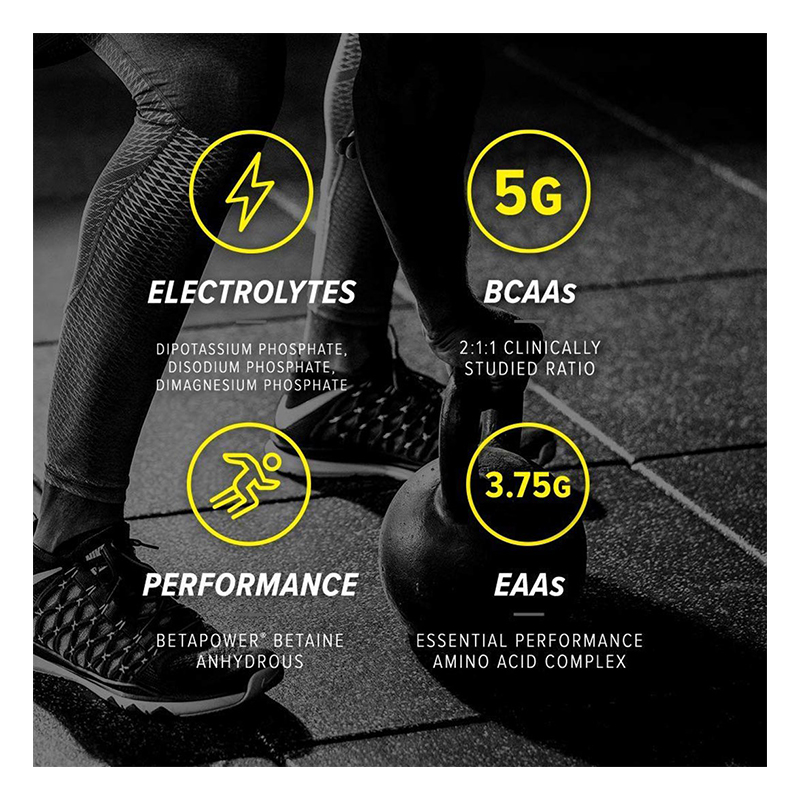 Cellucor Alpha Amino - 50 Servings Best Price in UAE