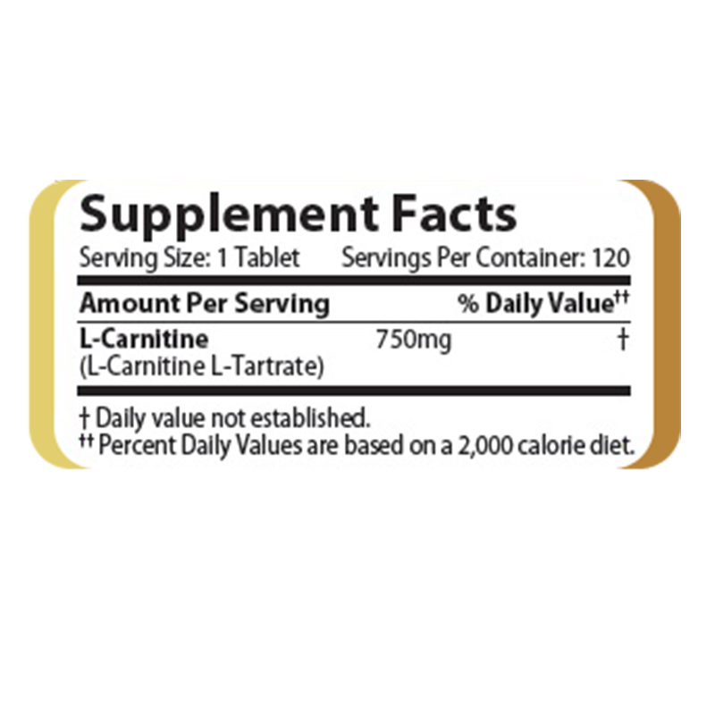 Challenger L Carnitine 120 Caps Best Price in UAE