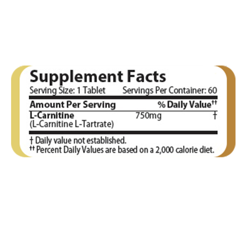 Challenger L Carnitine 120 Caps Best Price in UAE
