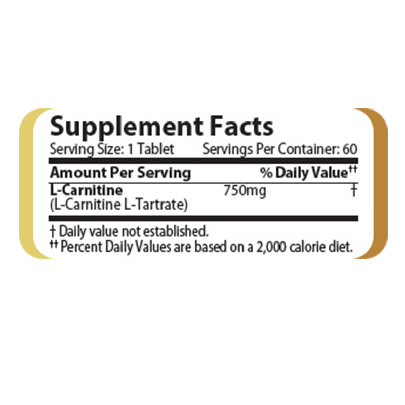 Challenger L Carnitine 60 Caps Best Price in UAE