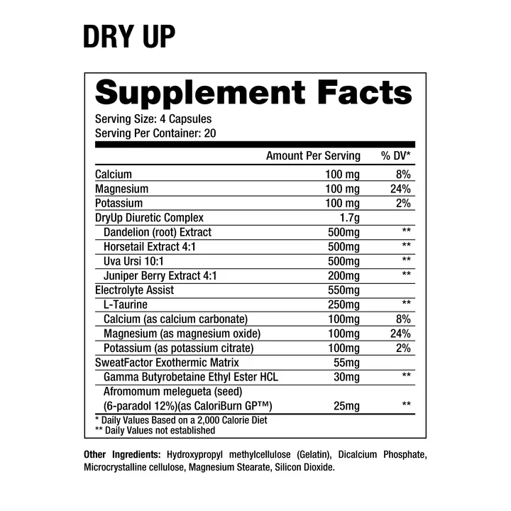 Dragon Pharma Dryup 80 Capsules Best Price in Dubai