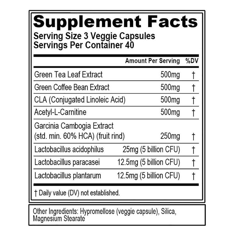 EVL Lean Mode Plus Probiotic 21 Caps Best Price in UAE