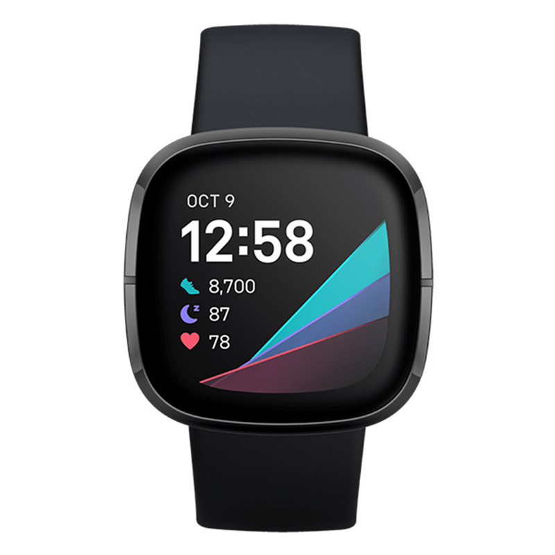 Fitbit Sense Carbon Graphite Stainless Steel Best Price in UAE