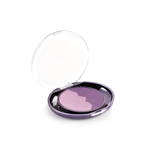 Forever Living Flawless Perfect pair eyeshadow - Ocean Price in UAE