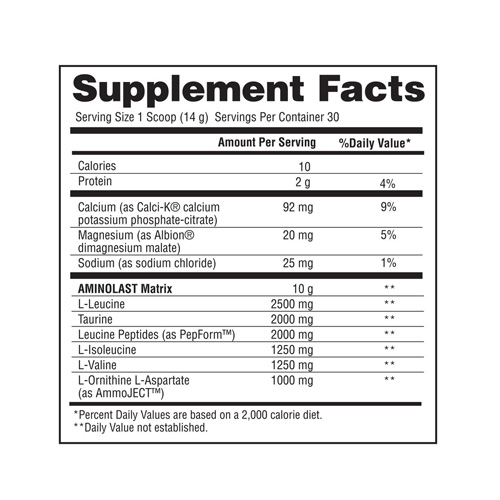 Gaspari Amino Acids & BCAA Amnolast 420G Price in Dubai