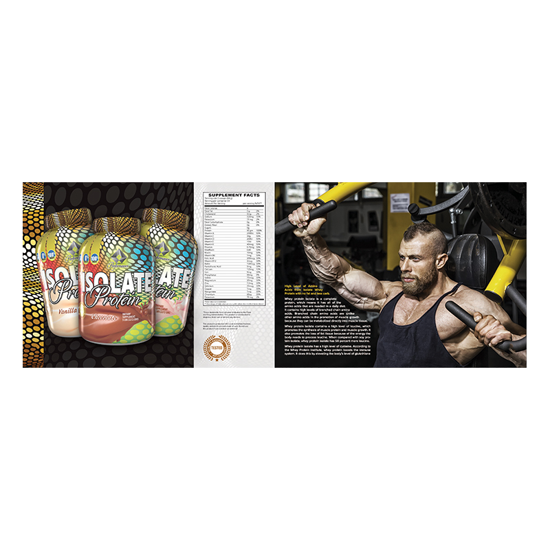Gold Performance Isolate Buy Gold Performance Isolate Protein 5 Lbs in Dubai, Abu Dhabi, Sharjah ...