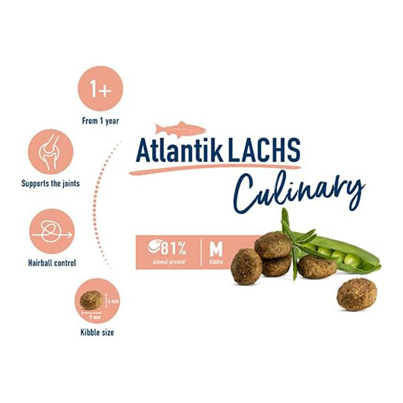 Happy Cat Culinary Adult Atlantic Salmon 300 G Best Price in Abu Dhabi