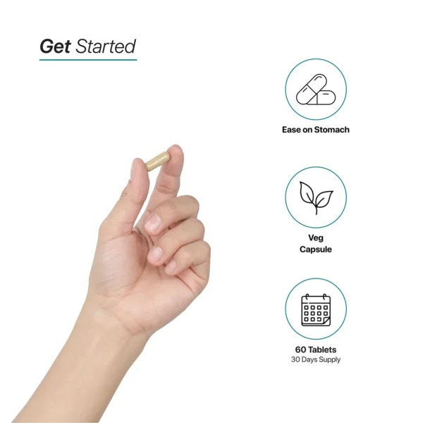 HC Nutrition Digestive Enzyme 60 Capsule Best Price in Dubai