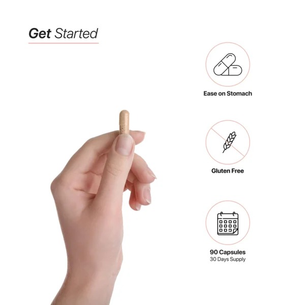 HC Nutrition Nitric Oxide Booster 90 Capsules Best Price in Dubai