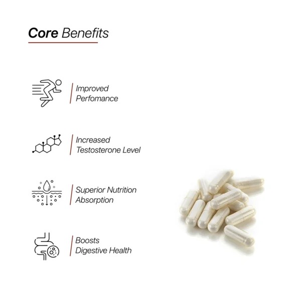 HC Nutrition Tribulus Terrestris 90 Caspules Best Price in Abu Dhabi