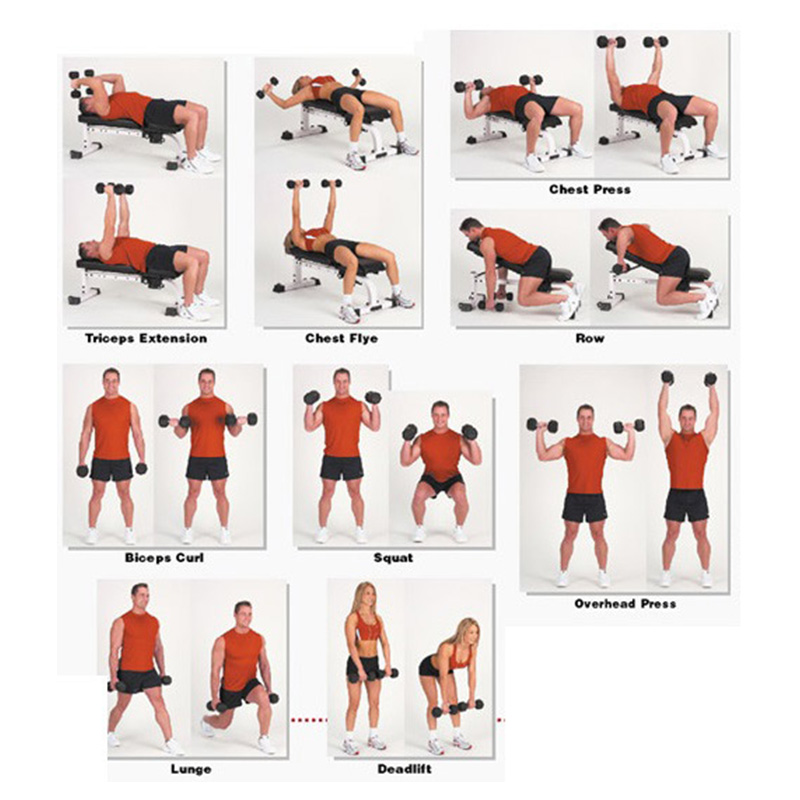 Hexoga Dumbbell 1 Kg Best Price in UAE