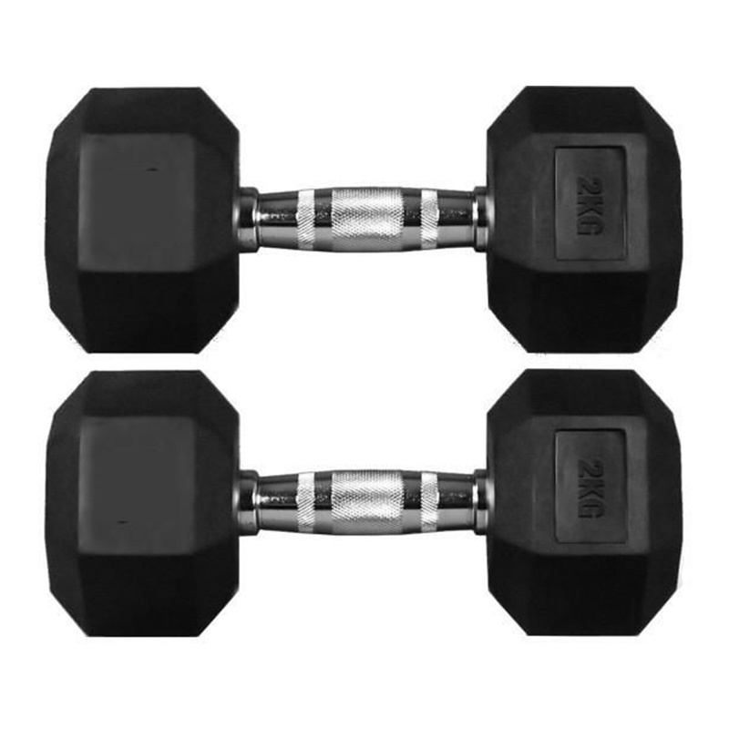 Hexoga Dumbbell 2 Kg Set of 2