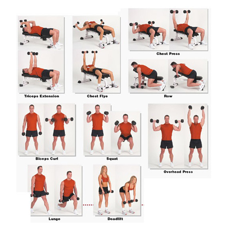 Hexoga Dumbbell 5 Kg Best Price in UAE