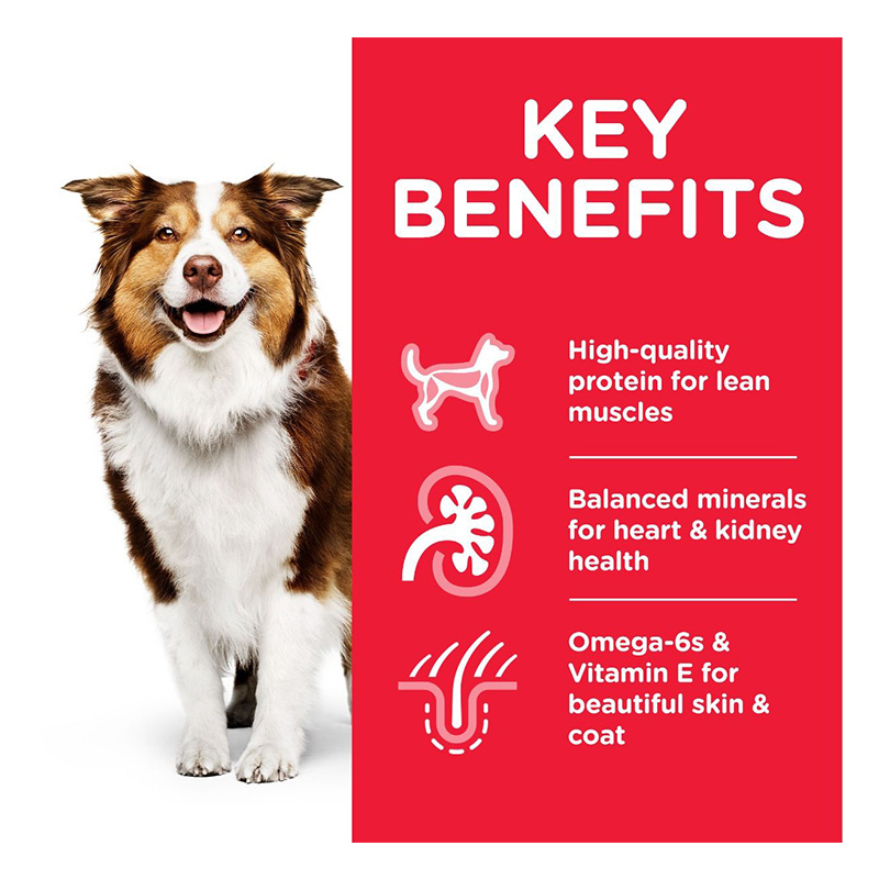 Hills Science Plan Mature 7+ Dog Medium Chicken Dry Food 14 Kg Best Price in Dubai