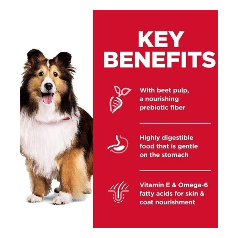 Hills Science Plan Medium Adult Dog Sensitive Stomach & Skin Chicken Dry Food 14 Kg Best Price in Dubai