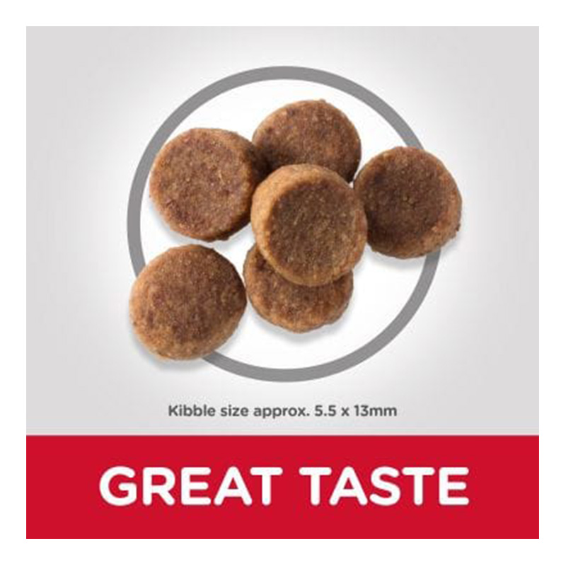 Hills Science Plan Puppy Large Breed Dry Food With Chicken 16 Kg Best Price in Dubai