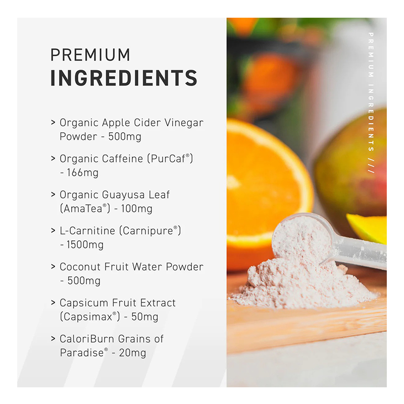 Kaged Clean Burn Powder 30 Servings - Orange Mango Best Price in Ajman