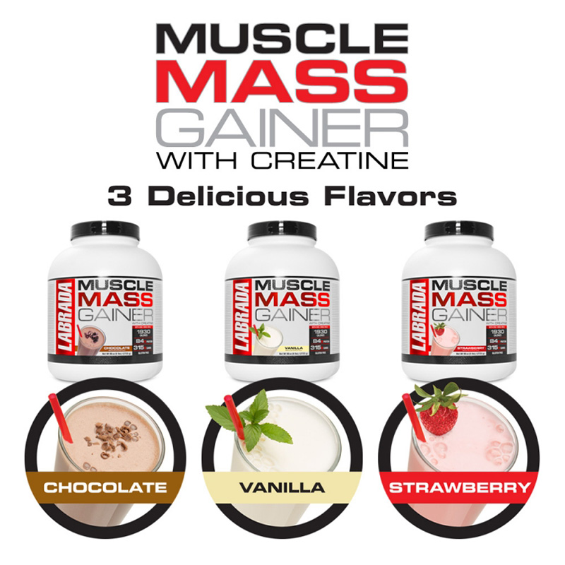Labrada Muscle Mass Gainer 6 lbs 8 Serv Best Price in Abu Dhabi