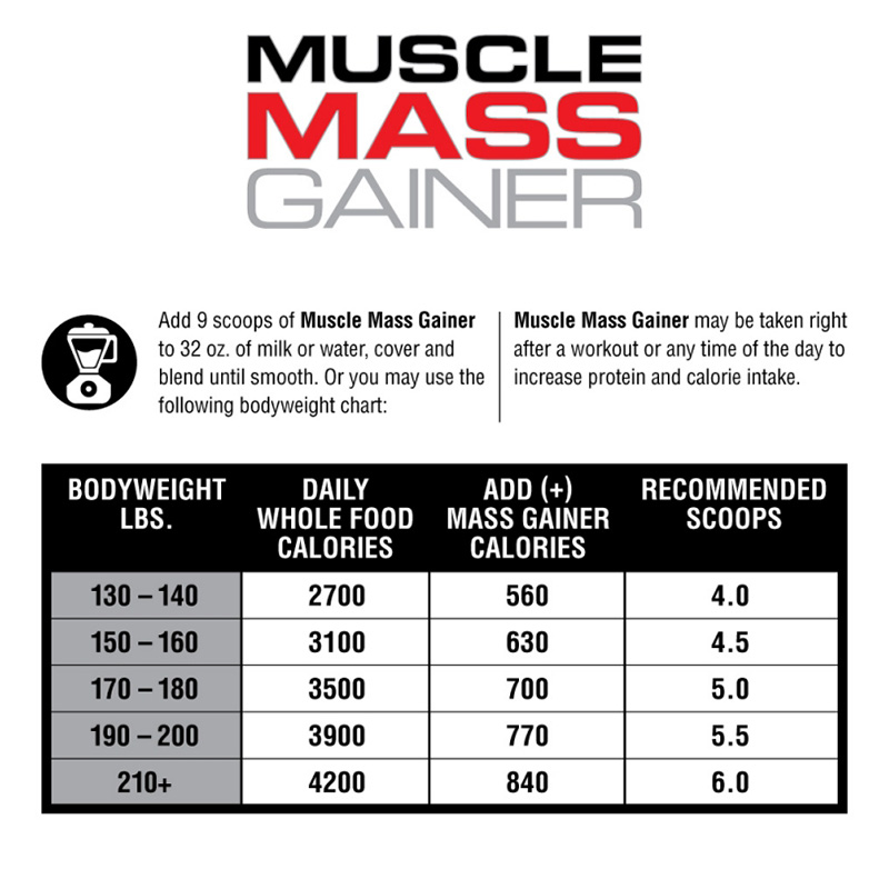 Labrada Muslce Mass Gainer 6lb/8 Best Price in UAE