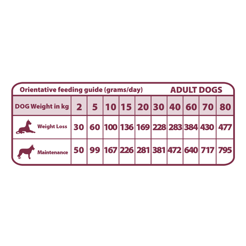 Natural Greatness Vet Diet Obesity Control Adult Dog 2 Kg Best Price in Dubai