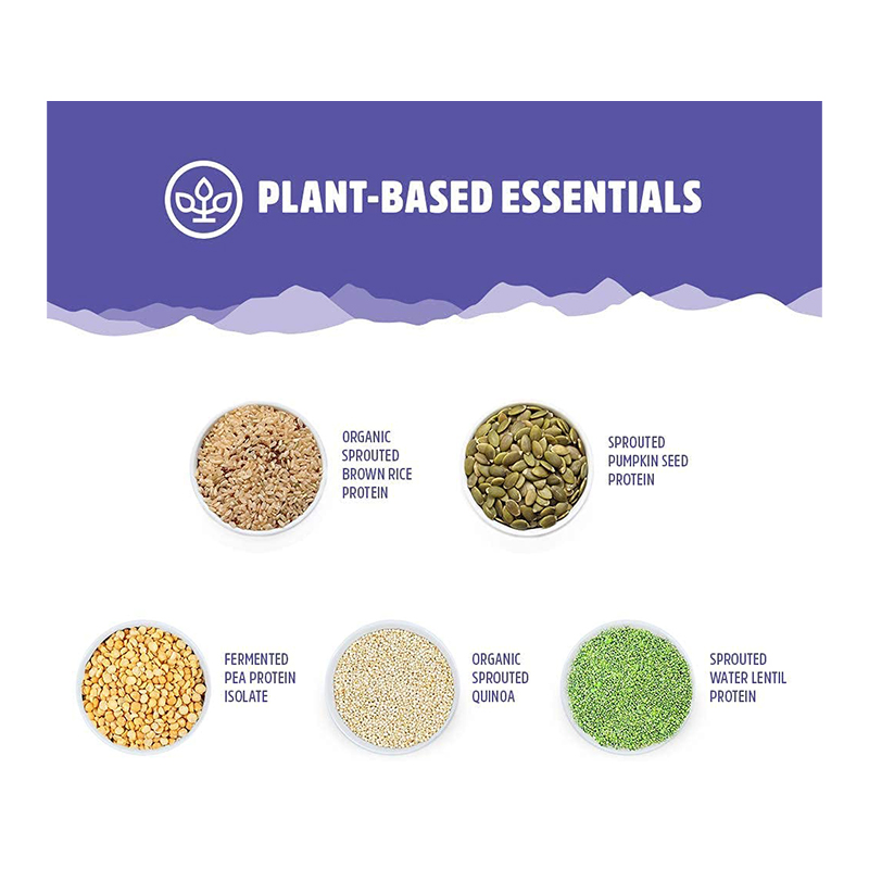 North Coast Naturals Boosted Vegan All-In-One 840G - Chocolate Best Price in Dubai