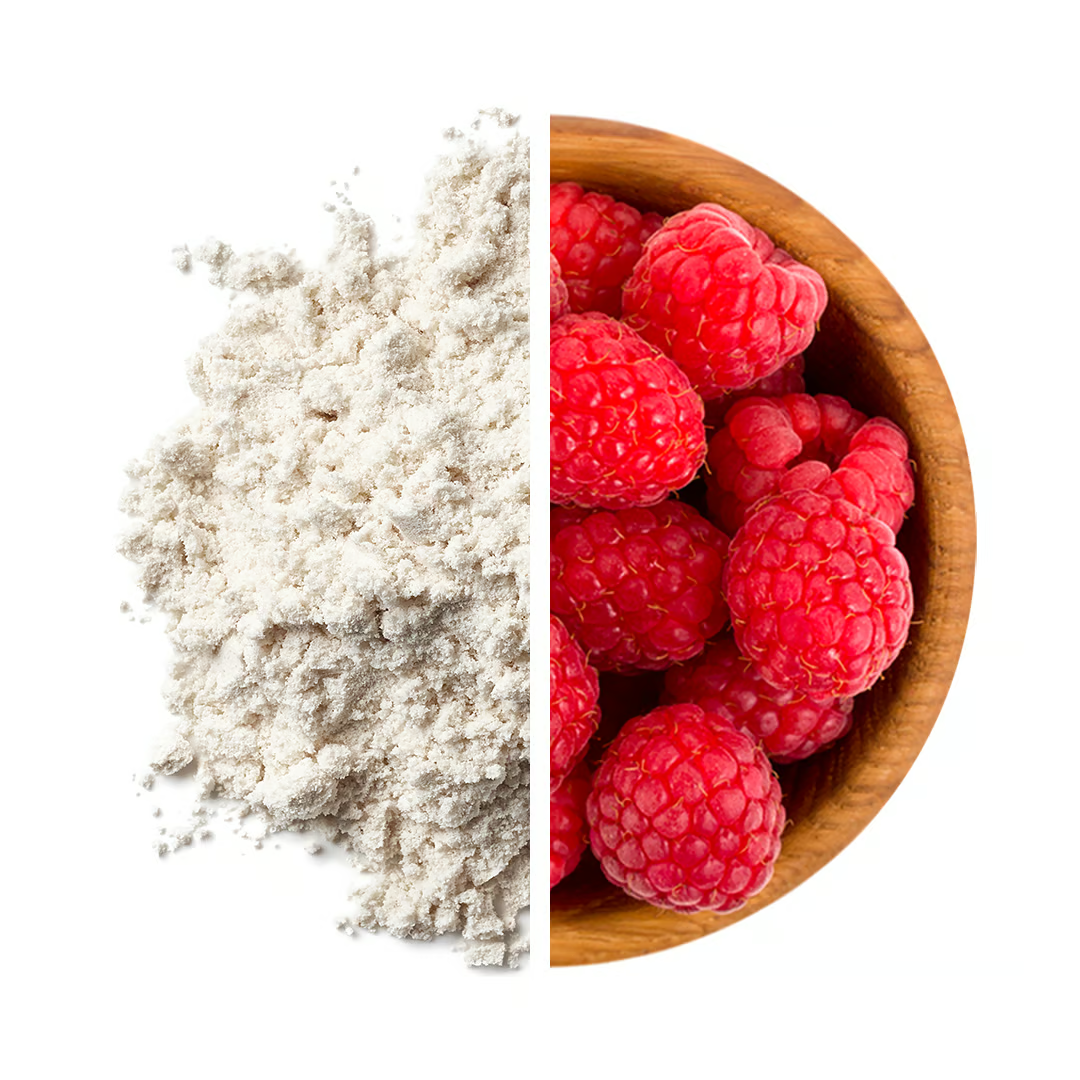 Nutrend 100% Whey Protein 2250 G - Vanilla Best Price in UAE Best Price in Dubai