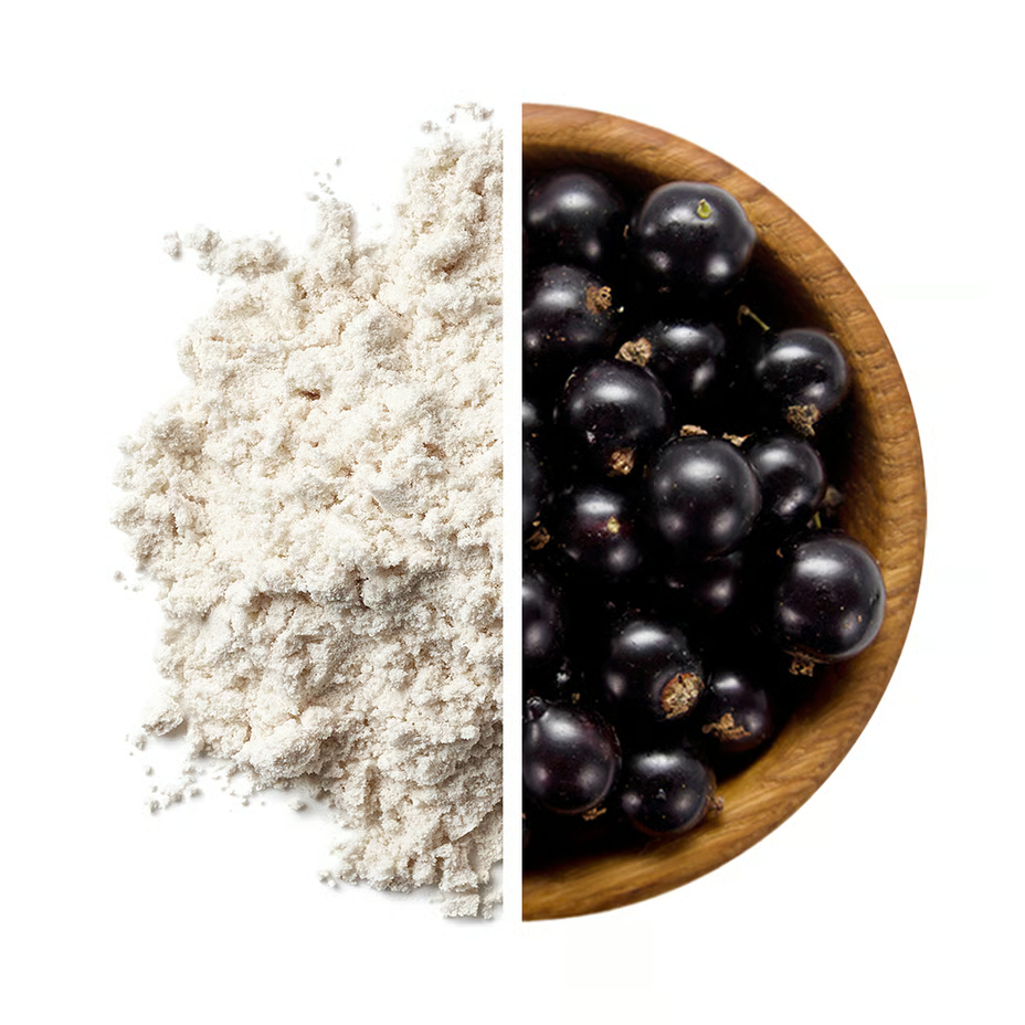 Nutrend BCAA 2:1:1 Powder 400 G - Blackcurrant Blast Best Price in Dubai