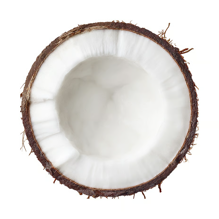 Nutrend High Protein Bar 55 G - Coconut in Milk Chocolate Best Price in Dubai