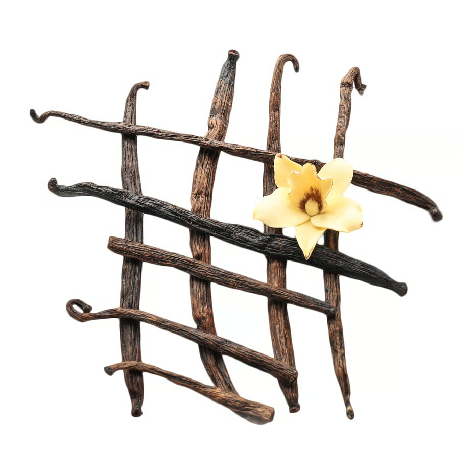 Nutrend High Protein Bar 55 G - Vanilla in Milk Chocolate Best Price in Dubai