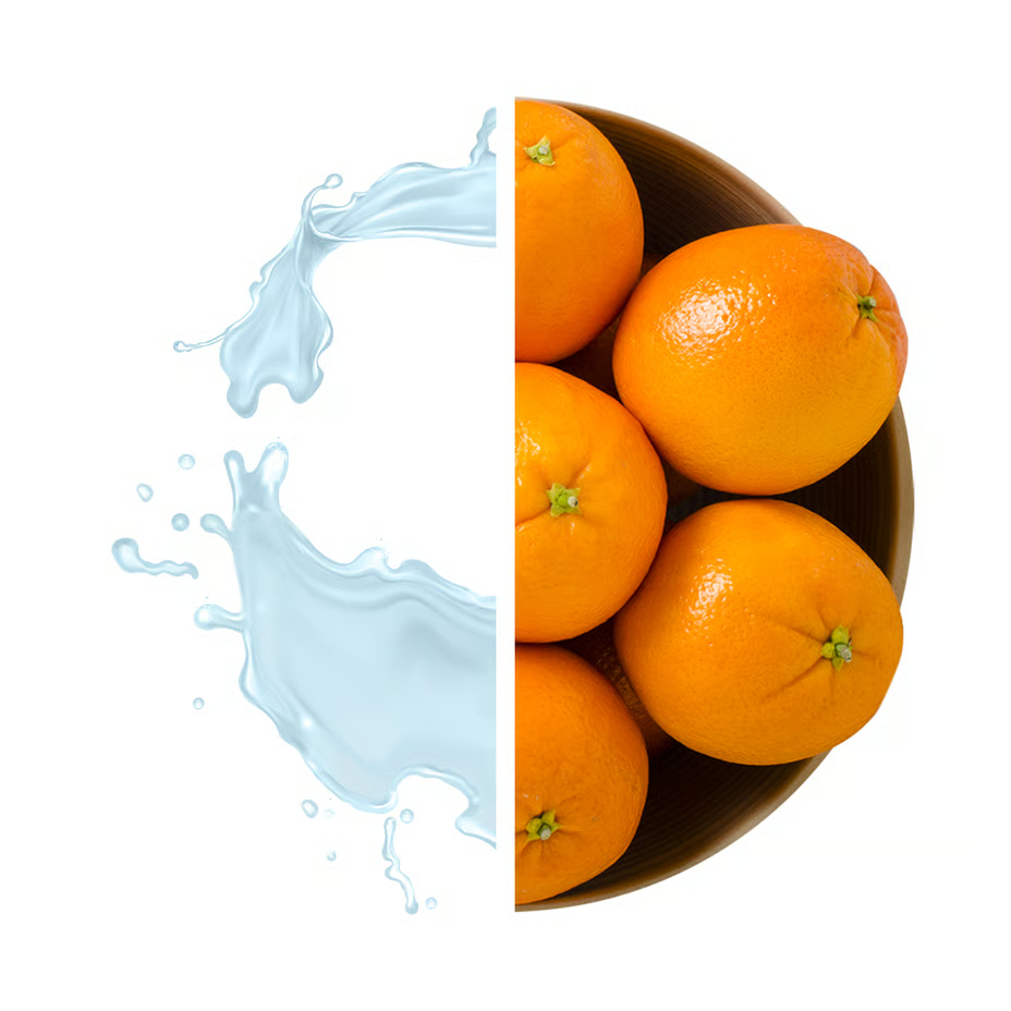 Nutrend Magneslife Liquid Shot 25 ml 10 Pcs in Box - Orange Best Price in Dubai