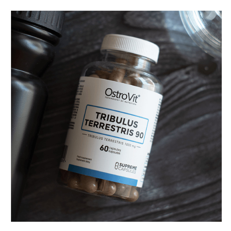 OstroVit Supreme Capsules Tribulus Terrestris 90 60 caps Best Price in Abu Dhabi