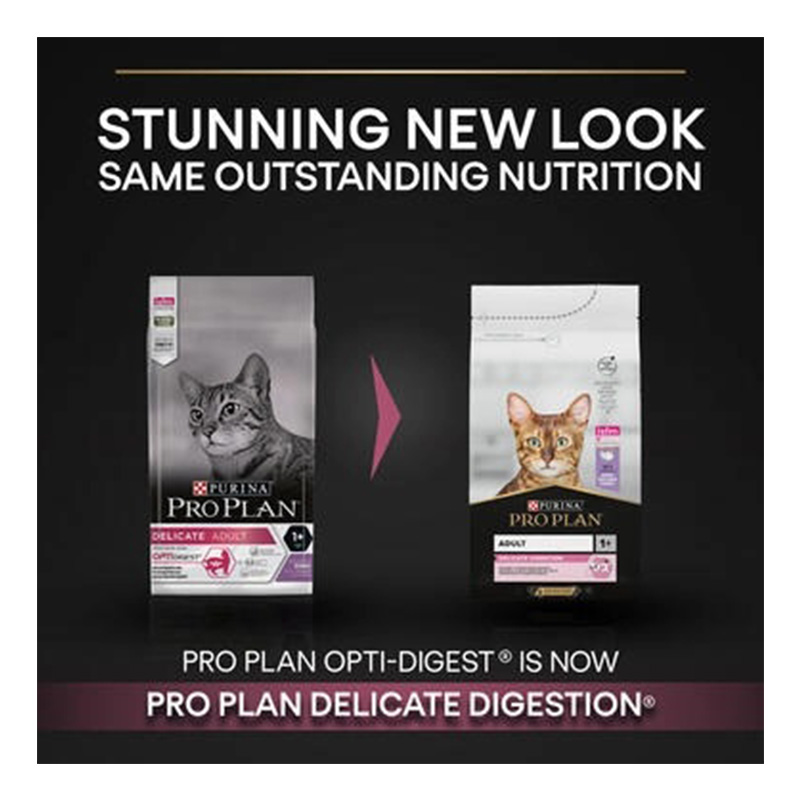 Purina Pro Plan Adult Delicate Digestion Dry Cat Food with Turkey 10 Kg Best Price in Dubai