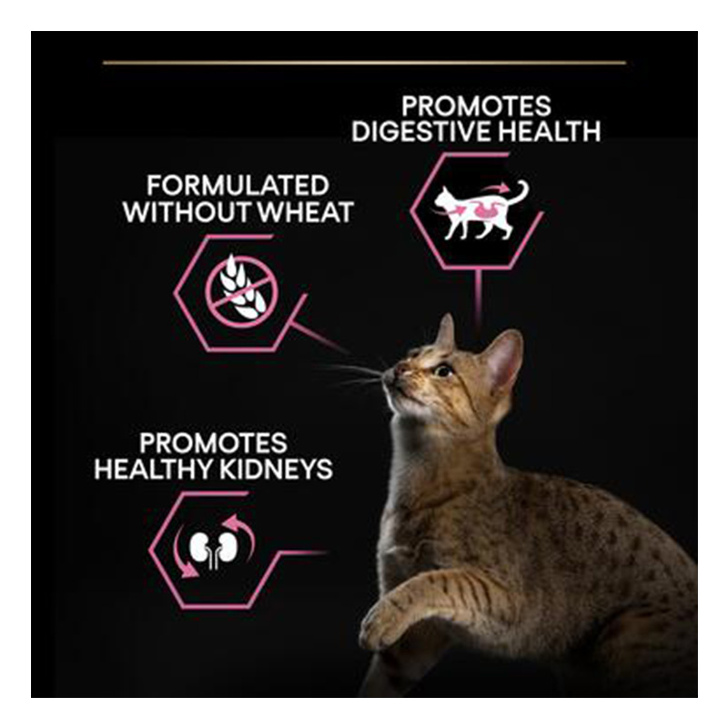 Purina Pro Plan Adult Delicate Digestion Dry Cat Food with Turkey 10 Kg Best Price in Al Ain