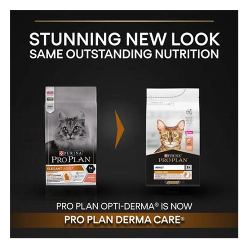 Purina Pro Plan Adult Derma Care Dry Cat Food with Salmon 1.5kg Best Price in Dubai
