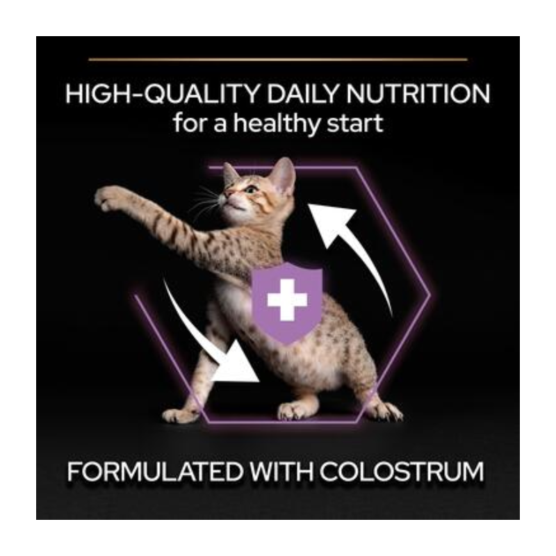 Purina Pro Plan Kitten Healthy Start Dry Cat Food with Chicken 1.5kg Best Price in Abu Dhabi