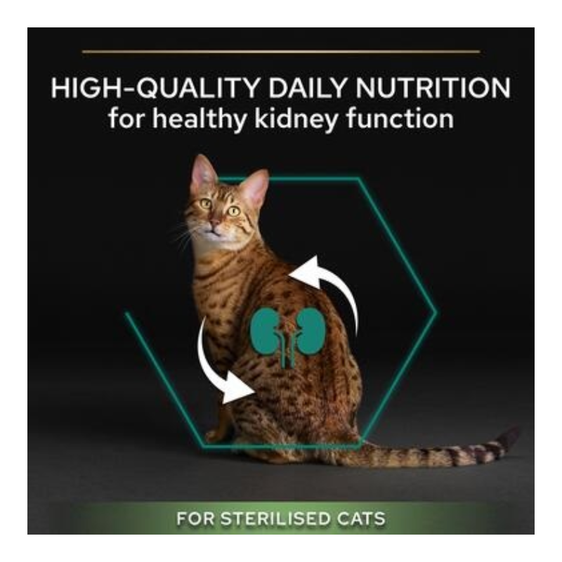 Purina Pro Plan Sterilised Adult Renal Plus Dry Cat Food with Turkey 1.5kg Best Price in Abu Dhabi