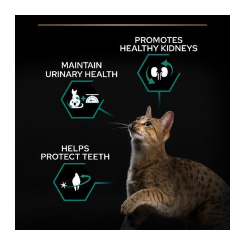 Purina Pro Plan Sterilised Adult Renal Plus Dry Cat Food with Turkey 1.5kg Best Price in Al Ain