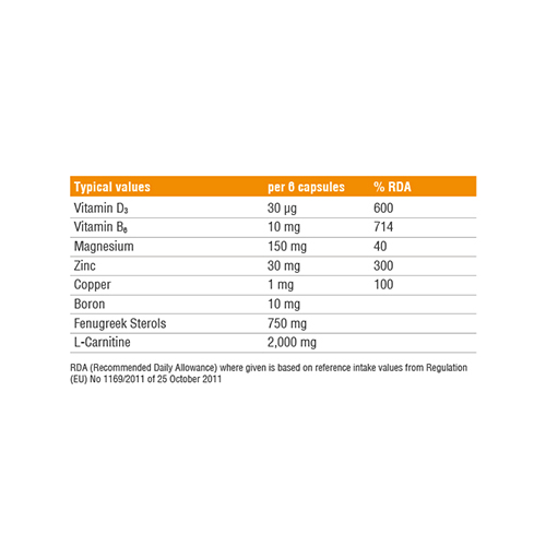 Reflex Testo Fusion 90 Capsules Best Price in UAE